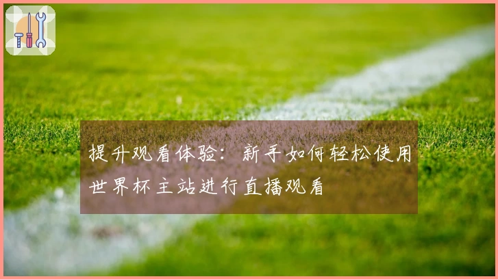 提升观看体验：新手如何轻松使用世界杯主站进行直播观看