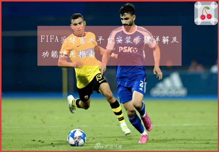 FIFA买球官方平台安装步骤详解及功能使用指南