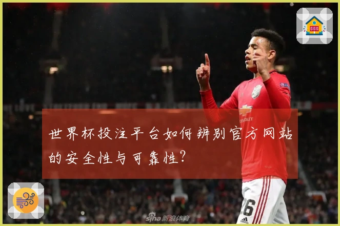 世界杯投注平台如何辨别官方网站的安全性与可靠性？