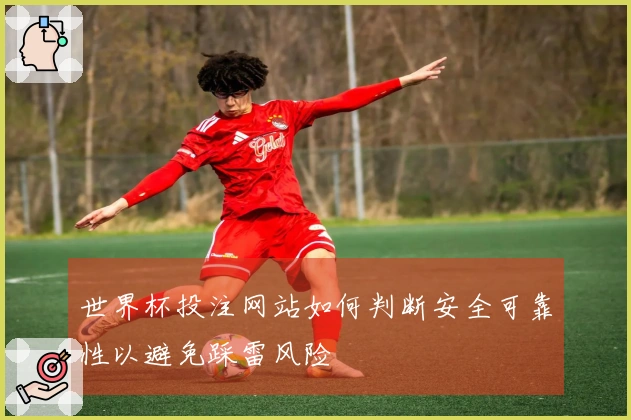 世界杯投注网站如何判断安全可靠性以避免踩雷风险