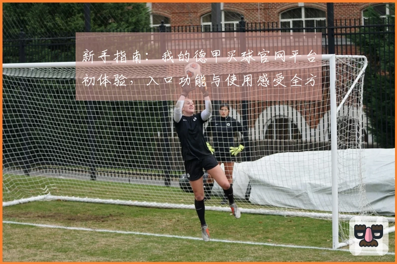新手指南:我的德甲买球官网平台初体验,入口功能与使用感受全方位分享